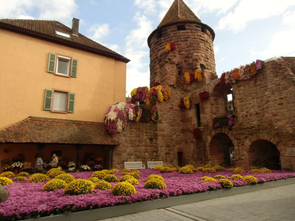 Ferienwohnung Keil Lahr  Exterior foto